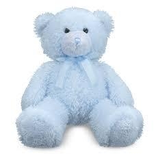 Baby Blue Teddy